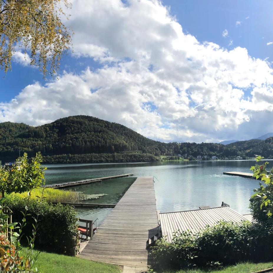 Blick zum See Panorama